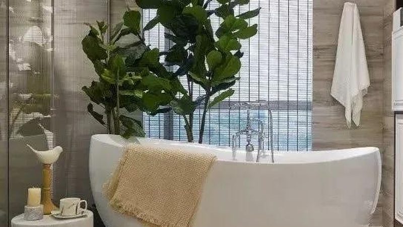 佛山卫浴洁具批发：规格参数全解析**